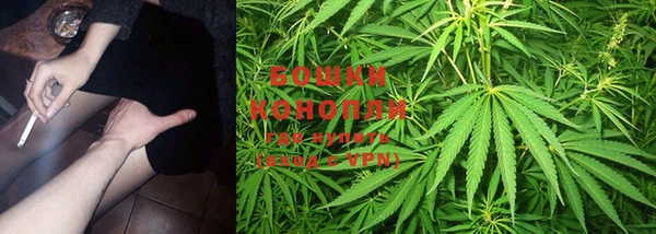 альфа пвп Нефтекумск