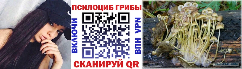 Галлюциногенные грибы Psilocybine cubensis  Купить закладки  Киров 